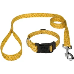 Country Brook Petz Deluxe Spring Cottagecore Dog Collar And Leash -Pet Shop GUEST ae092baf a86d 4fd8 b21b ec11ccb06079