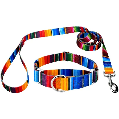 Country Brook Petz Serape Martingale Dog Collar And Leash 7 Country Brook Petz Serape Martingale Dog Collar And Leash - Image 5