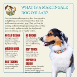 Country Brook Petz HossFit Jr Wide Martingale Dog Collar - Awesome Autumn Collection 11 Country Brook Petz HossFit Jr Wide Martingale Dog Collar - Awesome Autumn Collection -Pet Shop GUEST ae3b06c5 4aca 428a ab30 8e472143a4e3