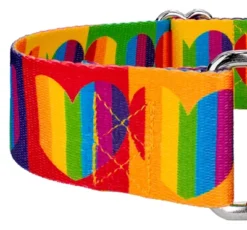 Country Brook Petz 1 1/2 Inch Rainbow Hearts Martingale Dog Collar -Pet Shop GUEST aea18a92 7d8d 421a 9682 989da31b0a83