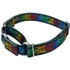 Country Brook Petz Celtic Pride Martingale Dog Collar And Leash 2 Country Brook Petz Celtic Pride Martingale Dog Collar And Leash -Pet Shop GUEST aea7335e db58 43d4 9ca2 079fff6b5600