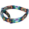 Country Brook Petz Tie Dye Flowers Martingale Dog Collar -Pet Shop GUEST af094405 bb33 43cb 9853 cb11a8ae29b2 1