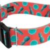 Country Brook Petz 1 1/2 Inch Deluxe Tropical Tango Dog Collar