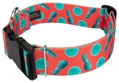 Country Brook Petz 1 1/2 Inch Deluxe Tropical Tango Dog Collar