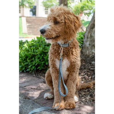 Country Brook Petz Premium Dog Collar And Leash - Sports And Athletics Collection 3 Country Brook Petz Premium Dog Collar And Leash - Sports And Athletics Collection