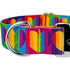 Country Brook Petz 1 1/2 Inch Premium Rainbow Hearts Dog Collar 8 Country Brook Petz 1 1/2 Inch Premium Rainbow Hearts Dog Collar -Pet Shop GUEST b148efbc a606 4121 a190 c3c727d60a0e