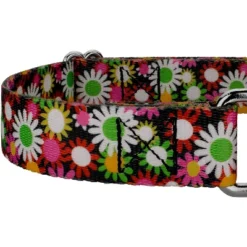 Country Brook Petz Daisy Fields Martingale Dog Collar 16 Country Brook Petz Daisy Fields Martingale Dog Collar -Pet Shop GUEST b16b3a28 6a91 4bde 86d6 a64b7ac73a4e