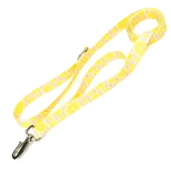 Country Brook Petz 6 Foot Dog Leash - Tasty Collection -Pet Shop GUEST b1e20167 e0cc 4dab a981 f1390aa920d8
