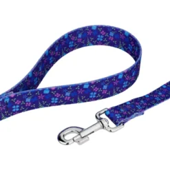 Country Brook Petz Deluxe Blueberry Fields Dog Collar And Leash -Pet Shop GUEST b222d0f0 93ca 437b bb74 e3afab0a9f6f
