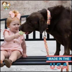 Country Brook Petz Deluxe Dog Collar - Made In The U.S.A. - Tasty Collection