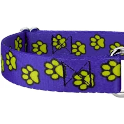 Country Brook Petz Blue Busy Paws Martingale Dog Collar And Leash Limited Edition 9 Country Brook Petz Blue Busy Paws Martingale Dog Collar And Leash Limited Edition -Pet Shop GUEST b2ffeab9 133c 4a1d 820c 9b3bed1ba895