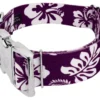 Country Brook Petz 1 1/2 Inch Premium Purple Hawaiian Dog Collar -Pet Shop GUEST b30ac2eb 47d3 42b6 86a5 27df981ea1c5