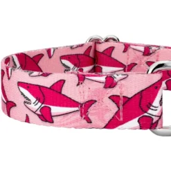 Country Brook Petz Pink Sharks Martingale Dog Collar And Leash 9 Country Brook Petz Pink Sharks Martingale Dog Collar And Leash -Pet Shop GUEST b35c3f01 921e 4622 bc60 1f68e7e27d97