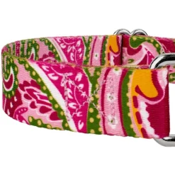 Country Brook Petz Pink Paisley Martingale Dog Collar And Leash 20 Country Brook Petz Pink Paisley Martingale Dog Collar And Leash -Pet Shop GUEST b38a01b8 01ff 4ab6 a838 41ead7552268
