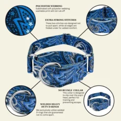 Country Brook Petz HossFit Jr Wide Martingale Dog Collar - Paisley Collection 17 Country Brook Petz HossFit Jr Wide Martingale Dog Collar - Paisley Collection -Pet Shop GUEST b4119dcc 25a7 480e a202 e4eb9051bbc9