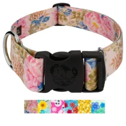 Country Brook Petz HossFit Jr Wide Deluxe Dog Collar - Spring Collection -Pet Shop GUEST b479e056 3718 4238 9c67 6cb16c9471f3