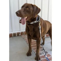 Country Brook Petz Urban Camo Martingale Dog Collar