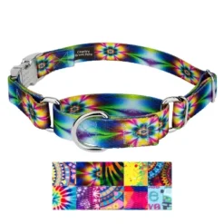 Country Brook Petz Martingale Dog Collar With Premium Buckle - Groovy Collection -Pet Shop GUEST b554c5dd 3a5a 4f0a aa76 a3319185ba52