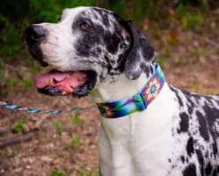 Country Brook Petz 1 1/2 Inch Tie Dye Flowers Martingale Dog Collar -Pet Shop GUEST b606efab 1ba3 4158 aee6 65b172d71903