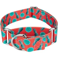 Country Brook Petz 1 1/2 Inch Tropical Tango Martingale Dog Collar 9 Country Brook Petz 1 1/2 Inch Tropical Tango Martingale Dog Collar -Pet Shop GUEST b607a3ad 6755 478f 9ffe 0a7fd50cb899