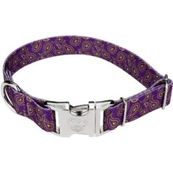 Country Brook Petz Premium Purple Paisley Dog Collar -Pet Shop GUEST b68a0fa1 562e 4d54 8b8f d0bd5c16d6cf