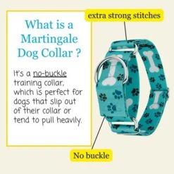 Country Brook Petz HossFit Jr Wide Martingale Dog Collar - Dog's Life Collection 14 Country Brook Petz HossFit Jr Wide Martingale Dog Collar - Dog's Life Collection -Pet Shop GUEST b6abc4e3 e66b 44b7 9c7b ea28583fc21b