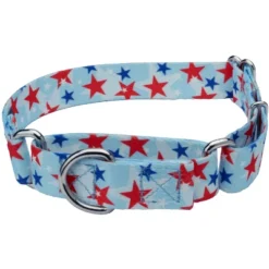 Country Brook Petz American Celebration Martingale Dog Collar (1/2 Inch, 2XS) -Pet Shop GUEST b8f80ec0 f5a7 435c 8da3 034b00dc20ea
