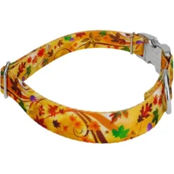 Country Brook Petz Premium Dog Collar - Awesome Autumn Collection -Pet Shop GUEST b902d6e6 0f7a 4d90 a906 988adf4b10b1