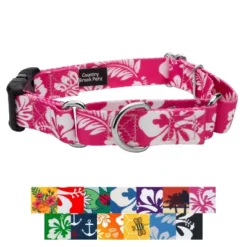 Country Brook Petz Martingale With Deluxe Buckle - Summer Breeze Collection -Pet Shop GUEST b957a67f e4d3 44aa 8ff9 7644ac975685
