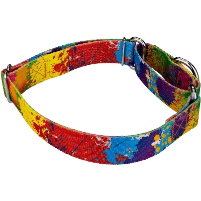 Country Brook Petz Paint Splatter Martingale Dog Collar 4 Country Brook Petz Paint Splatter Martingale Dog Collar - Image 2