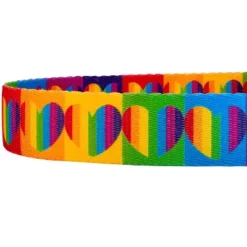 Country Brook Petz 6 Foot Dog Leash - Affection Collection -Pet Shop GUEST b9adb0a7 9bd8 4859 a39a c4649303f7c5