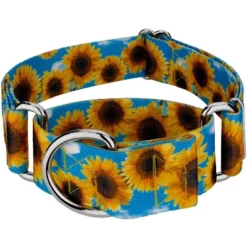 Country Brook Petz 2 Inch Sunflowers Martingale Dog Collar -Pet Shop GUEST ba12a7fa 0506 4574 90bd 7a3d0f22683d 1