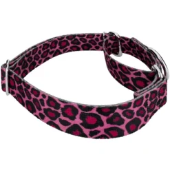 Country Brook Petz Pink Leopard Print Martingale Dog Collar And Leash -Pet Shop GUEST ba372cfc d280 4959 be64 5f306002eb82 1