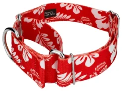 Country Brook Petz 1 1/2 Inch Red Hawaiian Martingale Dog Collar -Pet Shop GUEST bb522183 93dd 489f 97dc 45d184150b69