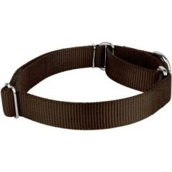 Country Brook Design Martingale Heavyduty Nylon Dog Collar 15 Country Brook Design Martingale Heavyduty Nylon Dog Collar -Pet Shop GUEST bbabfd26 984c 4f29 993f d8901b5a96a2