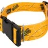 Country Brook Petz 1 1/2 Inch Deluxe Busy Bee Dog Collar -Pet Shop GUEST bc2ee25f f126 462a ab8f 7eb693cb90f0