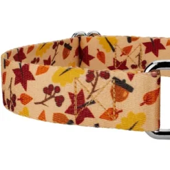 Country Brook Petz Fall Foliage Martingale Dog Collar And Leash -Pet Shop GUEST bc34727b 30b4 422a 9553 845e292ba4d7
