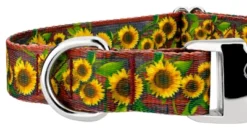 Country Brook Petz Premium Country Fields Dog Collar Limited Edition -Pet Shop GUEST bc473f56 43fd 4a8f 8052 d2b8d624f981