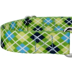 Country Brook Petz Margarita Argyle Martingale Dog Collar And Leash -Pet Shop GUEST bc4e85aa 9f4f 4b67 948a 5286aac03737 1