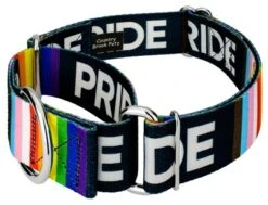 Country Brook Petz 1 1/2 Inch Pride Martingale Dog Collar -Pet Shop GUEST bc935393 0473 4995 9da0 e4d70c8c1cc7
