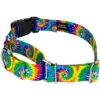 Country Brook Petz Martingale With Deluxe Buckle - Groovy Collection -Pet Shop GUEST bca27de7 d31b 465c baf9 2a925e21997e