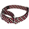 Country Brook Petz Shibuya Martingale Dog Collar And Leash Limited Edition
