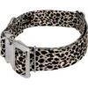 Country Brook Petz HossFit Jr Wide Premium Dog Collar - Animal Print Collection -Pet Shop GUEST bcf012c0 7086 4740 9fe8 88fff9a2557a
