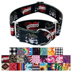 Country Brook Petz HossFit Wide Martingale Dog Collar Collection -Pet Shop GUEST bcf0b09a 17c2 4715 a661 401c6d0d3281