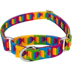 Country Brook Petz Rainbow Hearts Martingale Dog Collar -Pet Shop GUEST bec0d48c 0b52 4634 af8f d634045df053