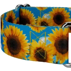 Country Brook Petz 2 Inch Sunflowers Martingale Dog Collar -Pet Shop GUEST bef5b948 b68e 4e0c a8d7 d4d090c121d2