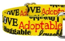 Country Brook Petz Yellow Loveable Rescue Martingale Dog Collar -Pet Shop GUEST bf255710 1f12 494b 8ca3 09f977bb6efa