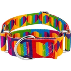 Country Brook Petz 1 1/2 Inch Rainbow Hearts Martingale Dog Collar -Pet Shop GUEST bf296568 f777 4091 a100 c756b6b3d0a2