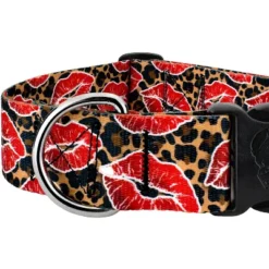 Country Brook Petz HossFit Jr Wide Deluxe Dog Collar - Affection Collection -Pet Shop GUEST bf399f17 9bca 4ce1 b3ae 4ce5db93537c