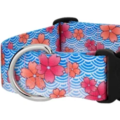 Country Brook Petz HossFit Jr Wide Deluxe Dog Collar - Spring Collection -Pet Shop GUEST c04f2ad3 66f4 440f bcfc 3c6fe3444f50